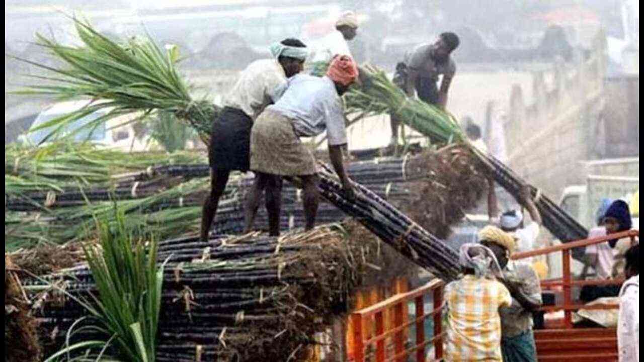 CM योगी ने गन्ना किसानों के प्रति उदासीनता के लिए सपा पर साधा निशाना