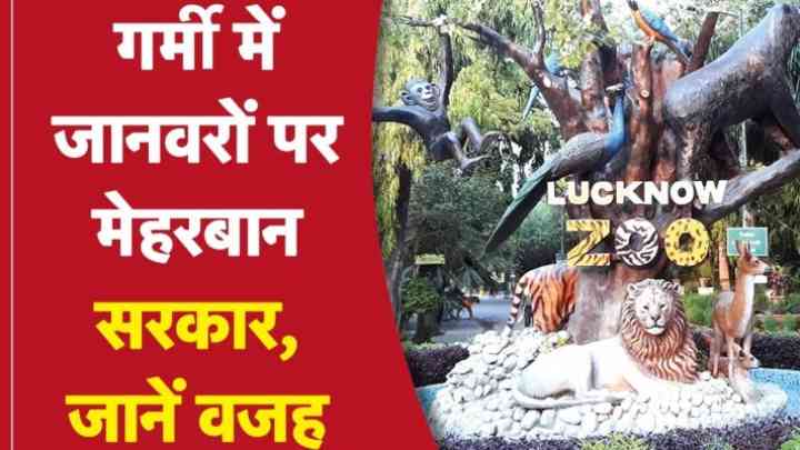 नवाब वाजिद अली शाह चिड़ियाघर में जानवरों के लिए किए जा रहे ख़ास इंतज़ाम