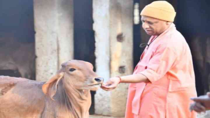 यूपी को श्वेत क्रांति का अगुआ बनाएगी योगी सरकार, मिशन सेक्सड सीमेन एआई बनेगा आधार