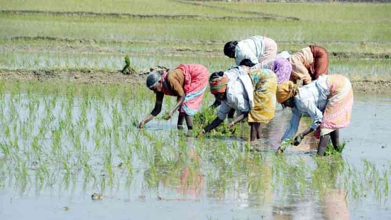 वैश्विक स्तर का होगा योगी सरकार 2.0 का पहला कृषि कुंभ, प्रधानमंत्री नरेंद्र मोदी कर सकते हैं उद्घाटन