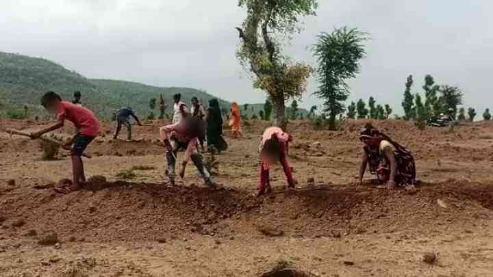 वन विभाग नाबालिग बच्चों से करवा रहा मजदूरी! वीडियो वायरल होने के बाद मचा हड़कंप