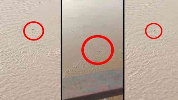 औरैया: सेल्फी लेते समय बिगड़ा युवती का संतुलन, यमुना में गिरी, गोताखोरों ने बाहर निकाला