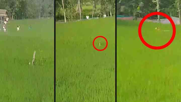 पीलीभीत: खेत पर सिंचाई कर रहे किसान पर बाघ ने अचानक किया हमला, देखें ऐसे बची जान
