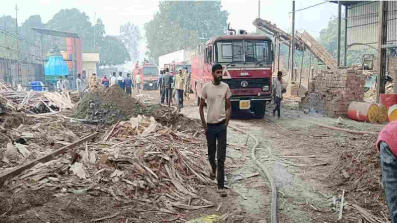 बरेलीः प्लाईवुड फैक्टरी में शॉर्ट सर्किट के कारण लगी भीषण आग, दमकल की 5 गाड़ियों ने पाया काबू