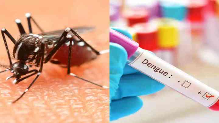 Dengue In Lucknow: लखनऊ में डेंगू का बढ़ा प्रकोप, 24 घंटे में 3 की मौत, 37 नए मरीज मिले