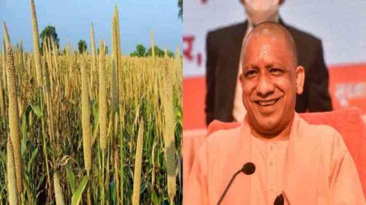 UP News: धान और बाजरा की खरीद में तेजी ला रही योगी सरकार, 1182 करोड़ रुपए का हुआ भुगतान