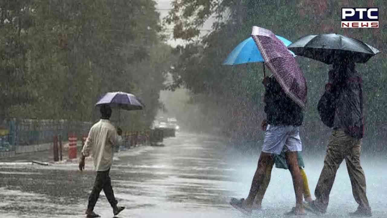 UP Weather: बारिश और ओलावृष्टि से फसलें हुई बर्बाद, खराब हो रही गेहूं और सरसों