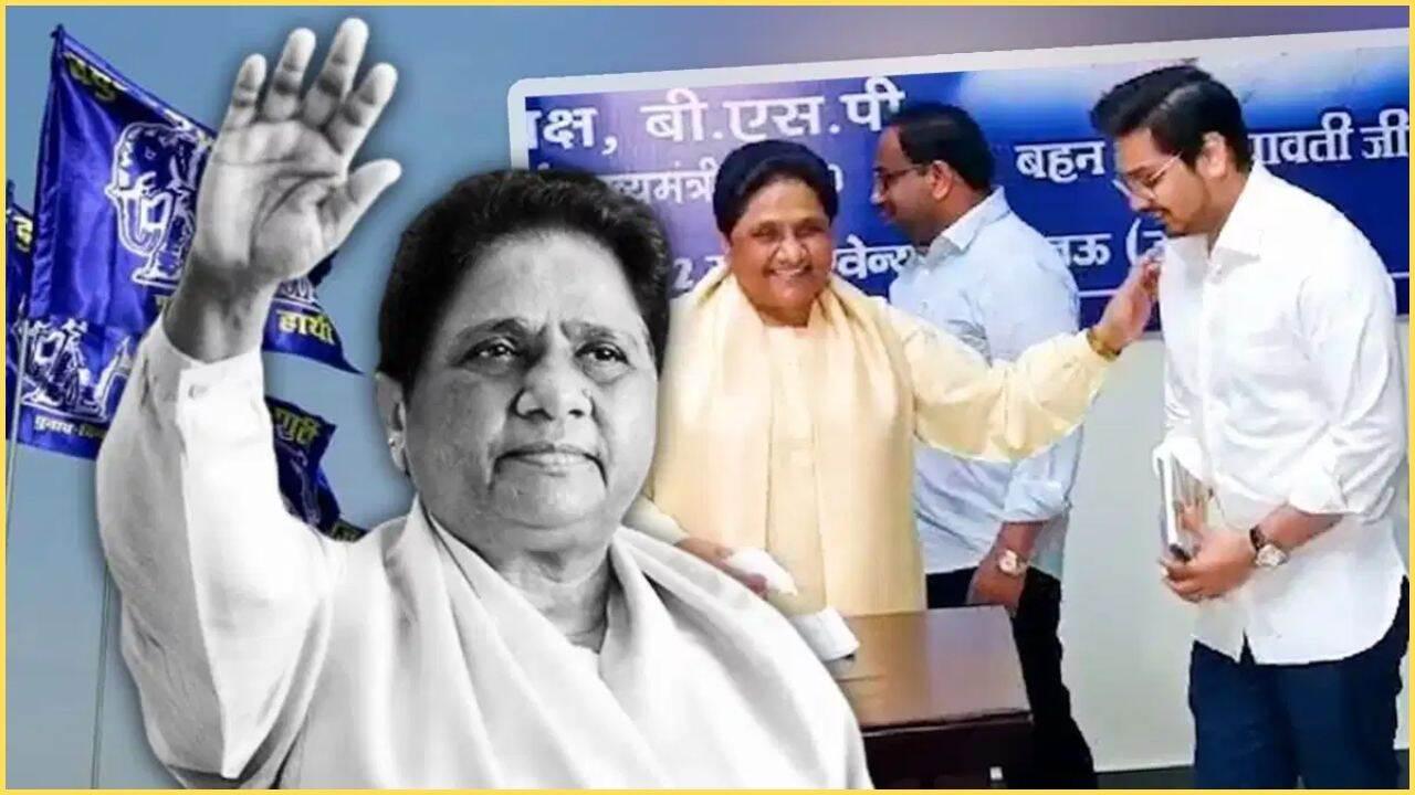 BSP से निष्कासित आकाश आनंद ने बदला अपने X अकाउंट का बायो, क्या है आकाश का इरादा?