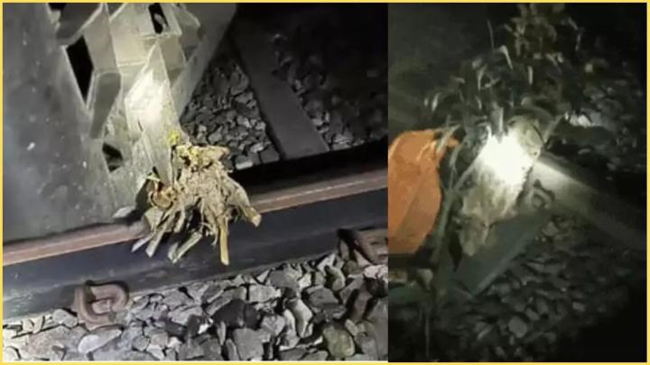 टला बड़ा रेल हादसा! रेलवे ट्रैक पर किसी ने रखी 6 इंच मोटी लकड़ी; कपड़े पर लिखा था किसका नाम?