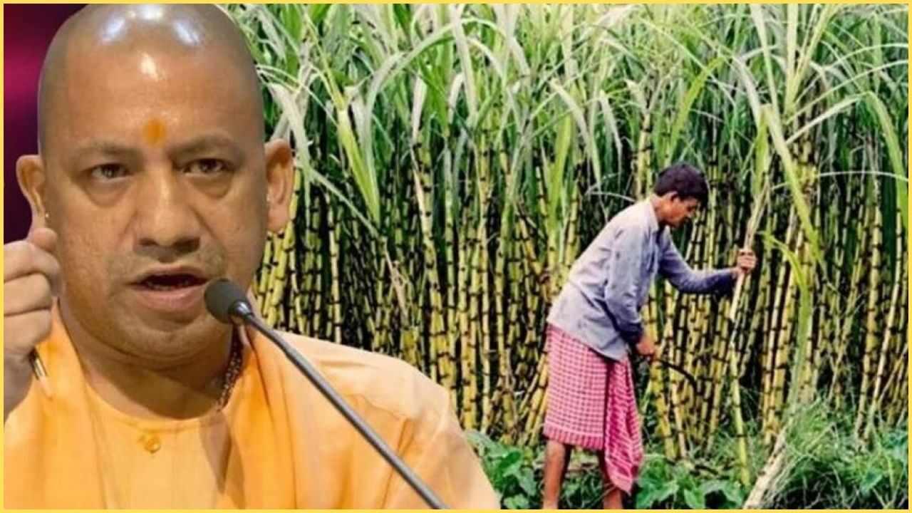प्रदेश के गन्ना किसानों का समय से होगा भुगतान, CM योगी ने दिए सख़्त निर्देश