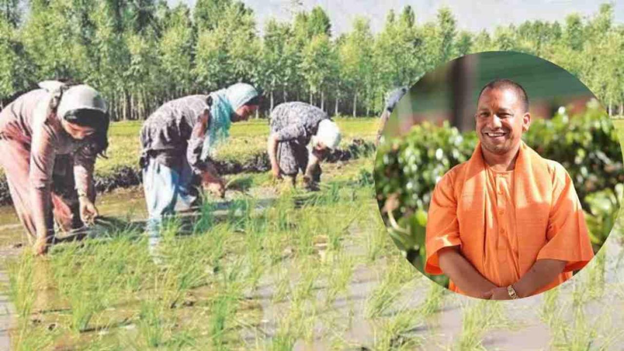 सीधी बुवाई, दोगुनी कमाई: योगी सरकार का किसानों को सशक्त बनाने का मिशन