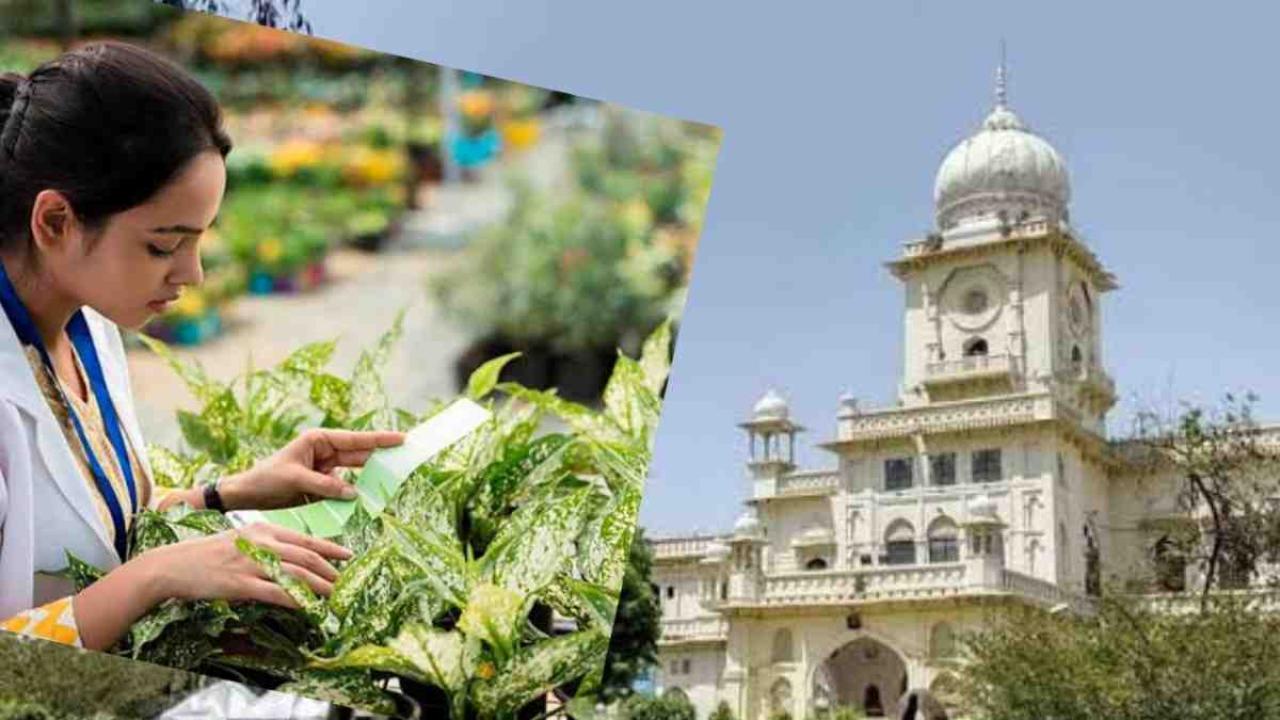 छात्रों के लिए सुनहरा मौका: लखनऊ विश्वविद्यालय में शुरू हो रहा है बीएससी एग्रीकल्चर कोर्स, जानें आवेदन प्रक्रिया