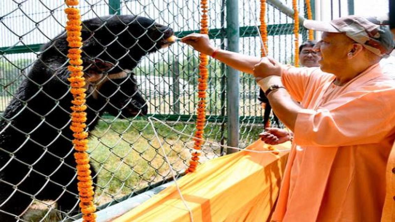सीएम योगी का निर्देश: प्राणी उद्यानों में बर्ड फ्लू से सुरक्षा के लिए उच्चतम सतर्कता बरती जाए