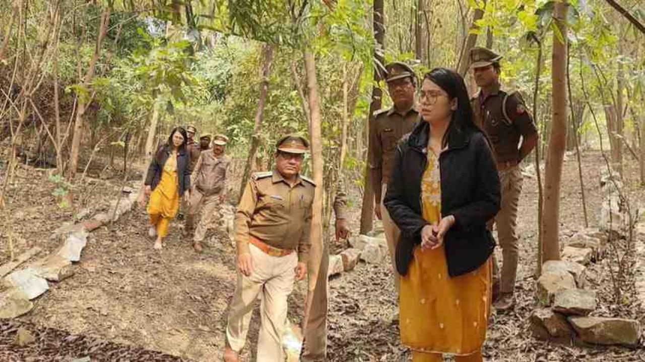 विकसित किये जा रहे 'नेचुरल ऑक्सीजन बैंक' को कहा जा रहा 'लंग्स ऑफ द सिटी'