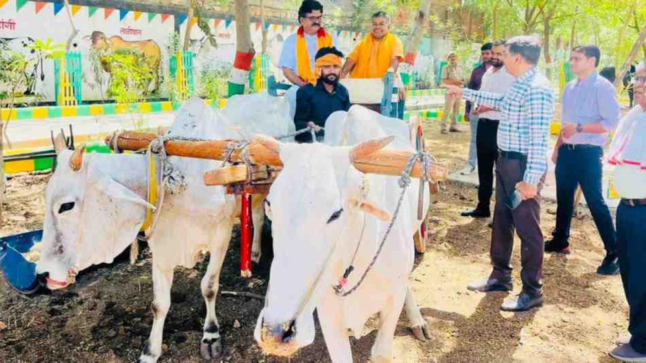 हर जिले में खुलेंगी पंचगव्य-औषधि, गो-पेंट और जैविक खाद की यूनिटें