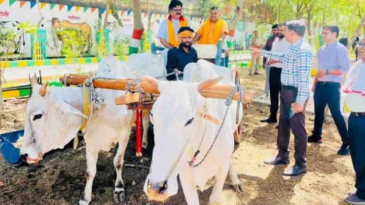 हर जिले में खुलेंगी पंचगव्य-औषधि, गो-पेंट और जैविक खाद की यूनिटें