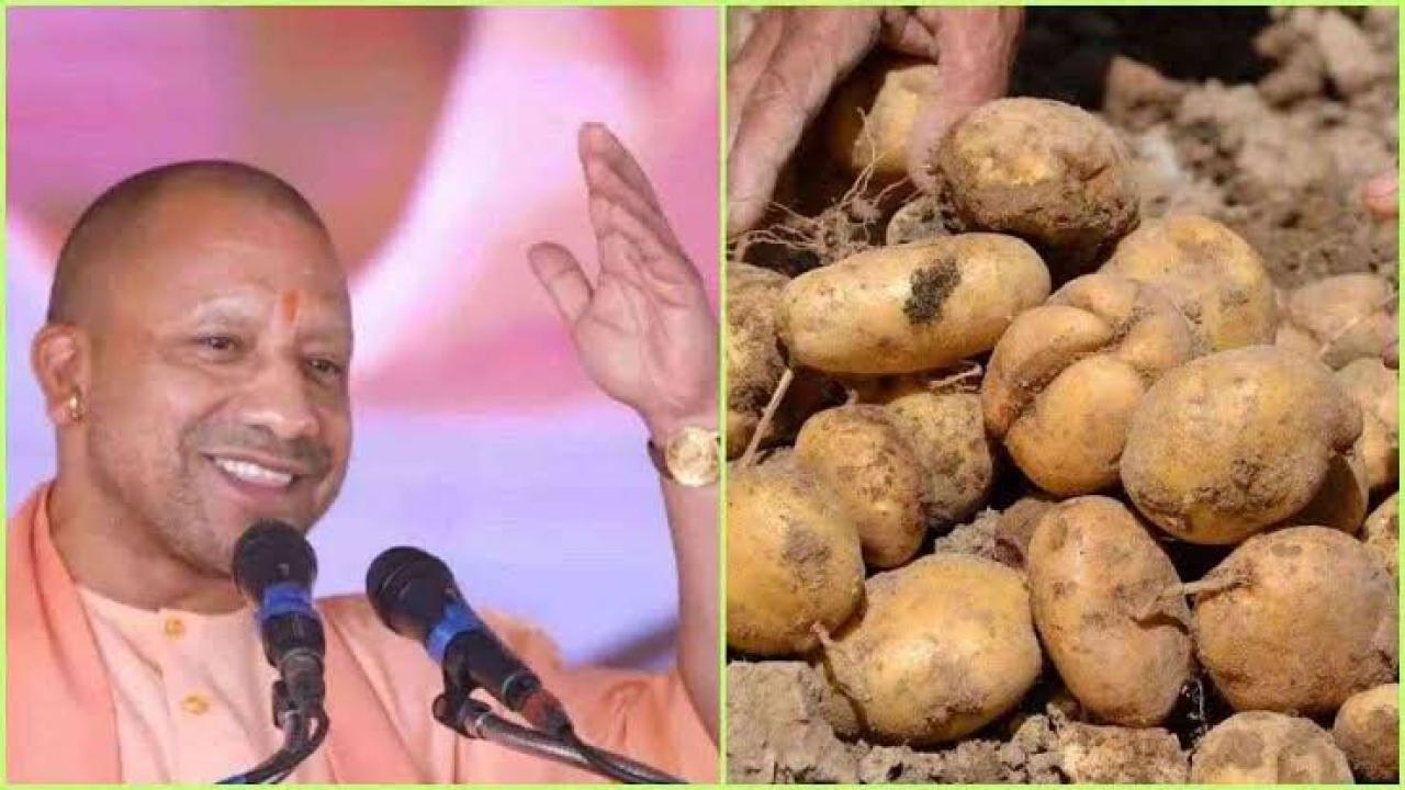 आगरा में खुलने वाले CIP के लिए योगी ने दी जमीन केंद्रीय कैबिनेट ने मंजूर किए 11.50 करोड़ रुपए