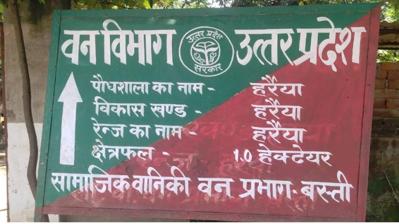 वन विभाग सड़कों के किनारे लगाएगा 1.14 करोड़ पौधे