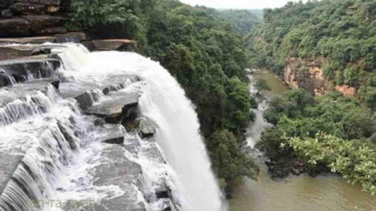 सीएम योगी के मार्गदर्शन में यूपी फॉरेस्ट फोर्स का आधुनिकीकरण, होगी रीयल टाइम मॉनिटरिंग