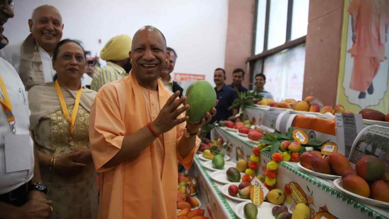 तमाम चुनौतियों के बावजूद तकनीक का उपयोग कर आम के बागवानों ने किया शानदार प्रदर्शन- सीएम योगी