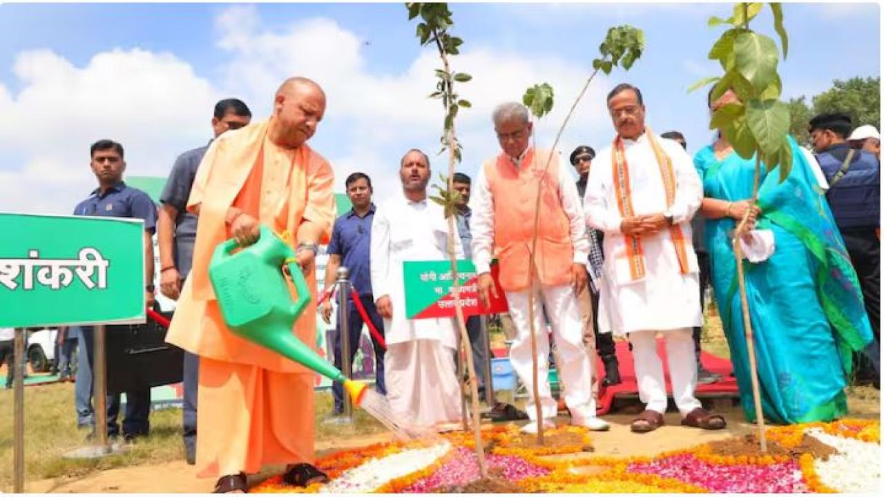 सीएम योगी के पौधरोपण अभियान का व्यापक असर, हरियाली की ओर बढ़ा उत्तर प्रदेश
