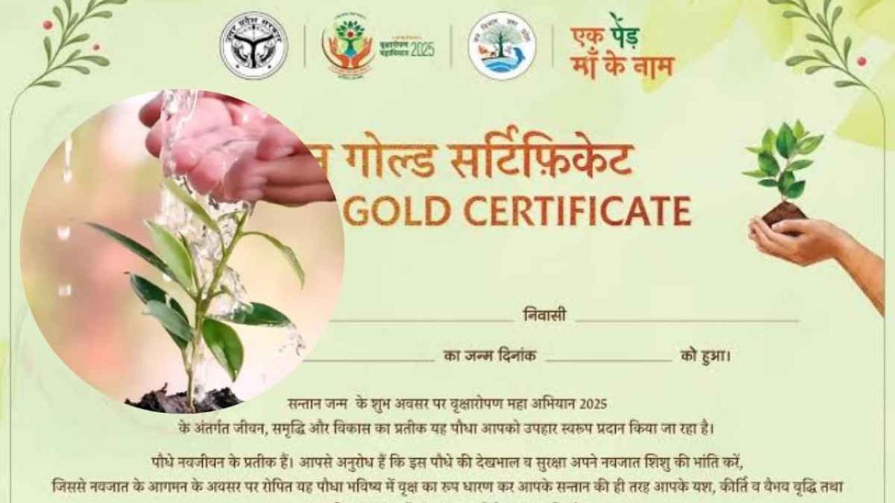 7 दिन में 18,348 नवजात को दिया गया ग्रीन गोल्ड सर्टिफिकेट, अभिभावकों ने लिया संकल्प-बच्चों के साथ ही पौधों की भी करेंगे देखभाल