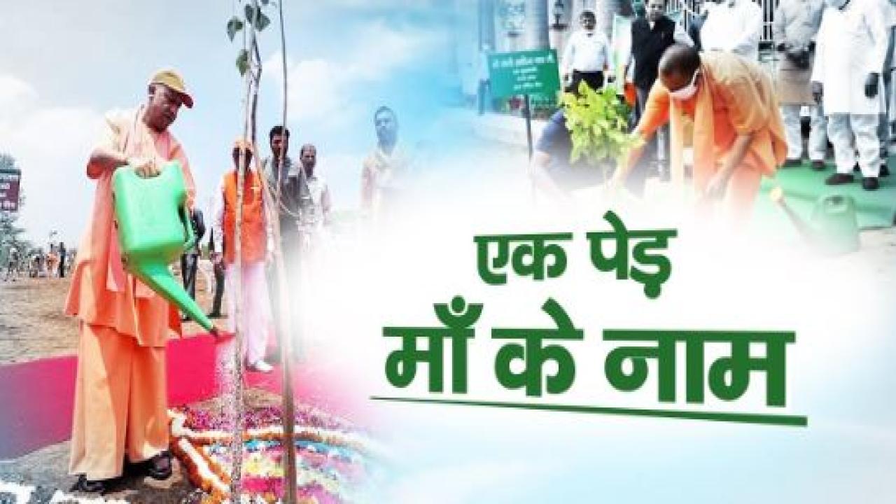 पौधरोपण महाभियान-2025 : 'एक पेड़ मां के नाम' के तहत लगाए जाएंगे 37 करोड़ पौधे
