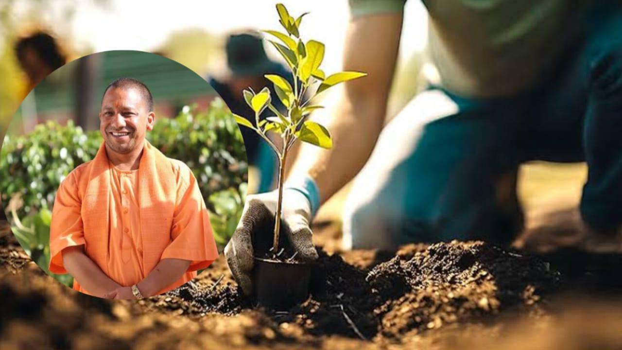 एकलव्य वन से शुरू होगी विशिष्ट वनों की स्थापना, 18 जुलाई को पीलीभीत से प्रारंभ होगा राज्य स्तरीय आयोजन