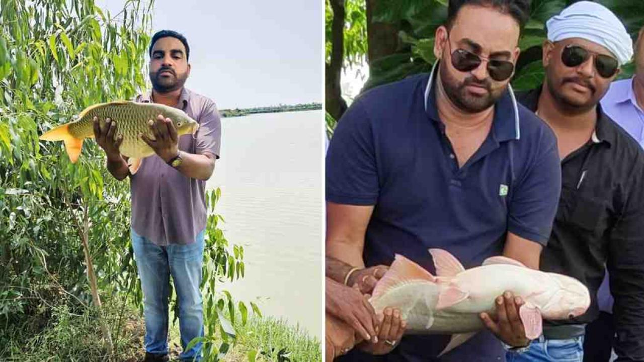 24 तालाब व 2 नर्सरी के जरिये सफलता की नई कहानी लिख रहे असलम, अब युवाओं को भी दे रहे रोजगार
