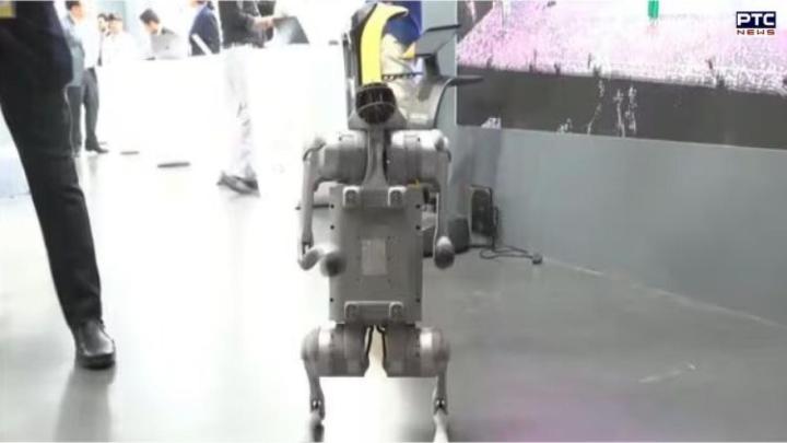 कैसे AI शिखर सम्मेलन में रोबोटिक कुत्ते को लेकर हुआ विवाद, जानें पीछे की पूरी कहानी