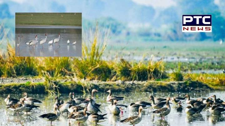 एटा का ‘पटना पक्षी अभयारण्य’ रामसर साइट्स घोषित, पीएम मोदी-सीएम योगी ने दी बधाई