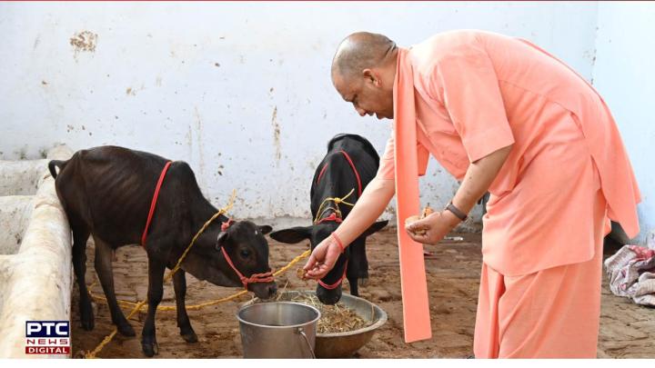 यूपी बनने जा रहा देश का आधुनिक टेक्नोलॉजी बेस्ड गोसंरक्षण मॉडल स्टेट