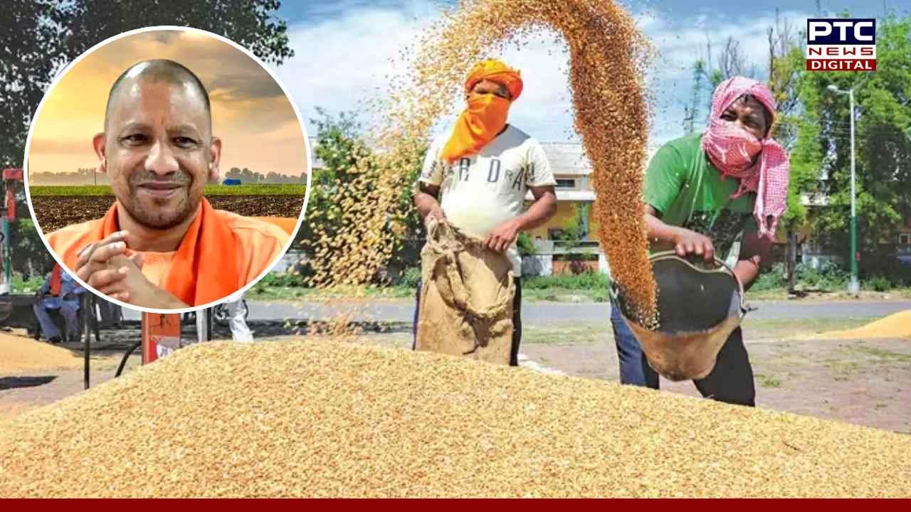 30 मार्च से शुरू होगी गेहूं खरीद, सीएम योगी ने तय किया 50 लाख मीट्रिक टन खरीद का लक्ष्य